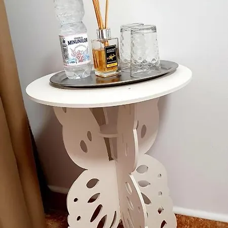 Homestay szállás Casa Tiberiu