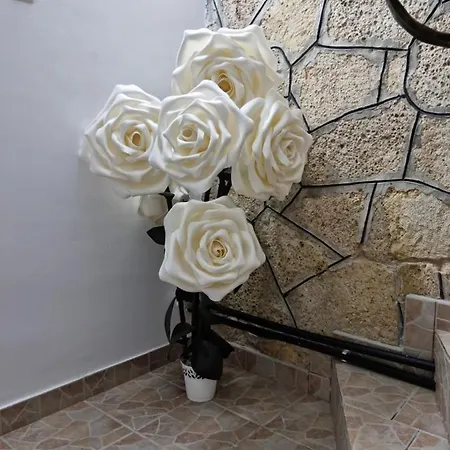 Casa Tiberiu